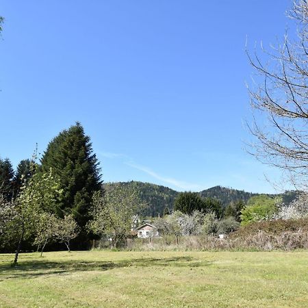 Spacious Holiday Home With Sauna In Celles Sur Plaine Эгишем Экстерьер фото